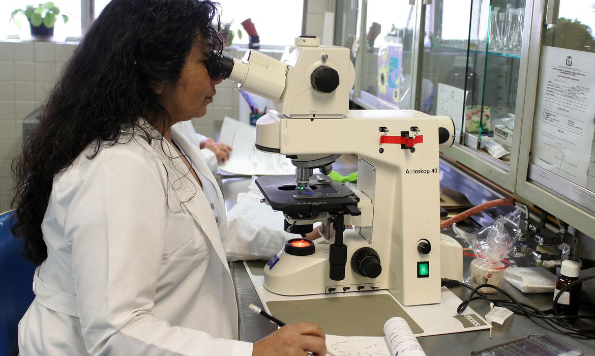 Brasil chega a 1.510 cientistas entre os mais influentes do mundo, 3,4% a mais em relação a 2025
